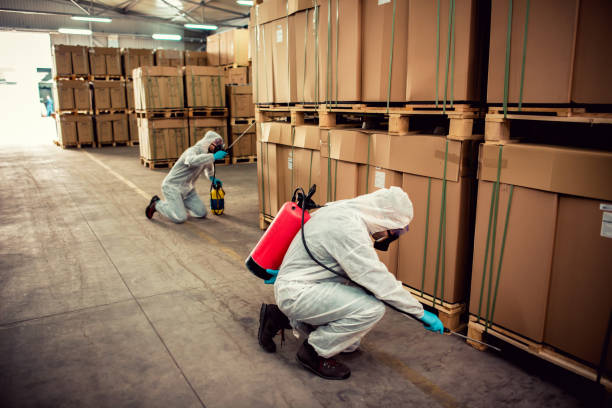 Reliable Cherryville, PA Pest Control Solutions