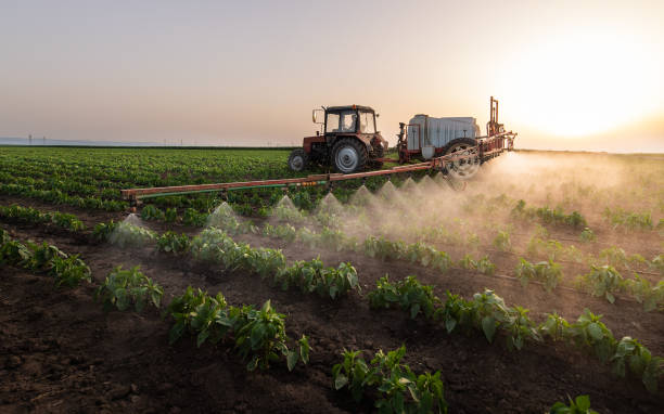 Best Commercial Pest Control Services  in Cherryville, PA