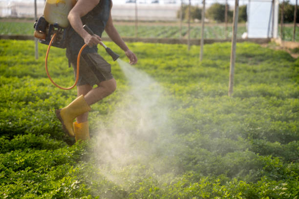 Best Ant Control Services  in Cherryville, PA